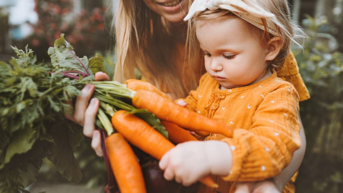 Harvesting vegetables from your homestead garden with children